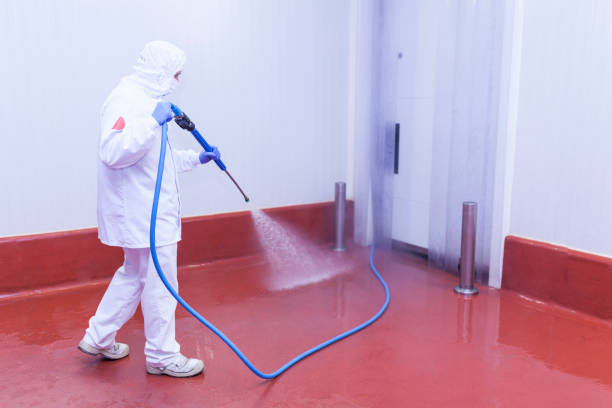 Professional Pressure Washing Services in Warner Robins, GA